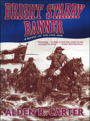 cover image of Bright Starry Banner